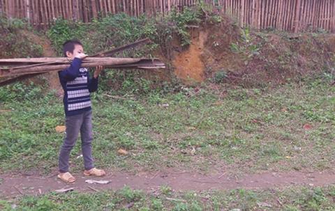 A boy carries firewood. 